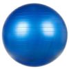 Мяч гимнастический синий 501/65 